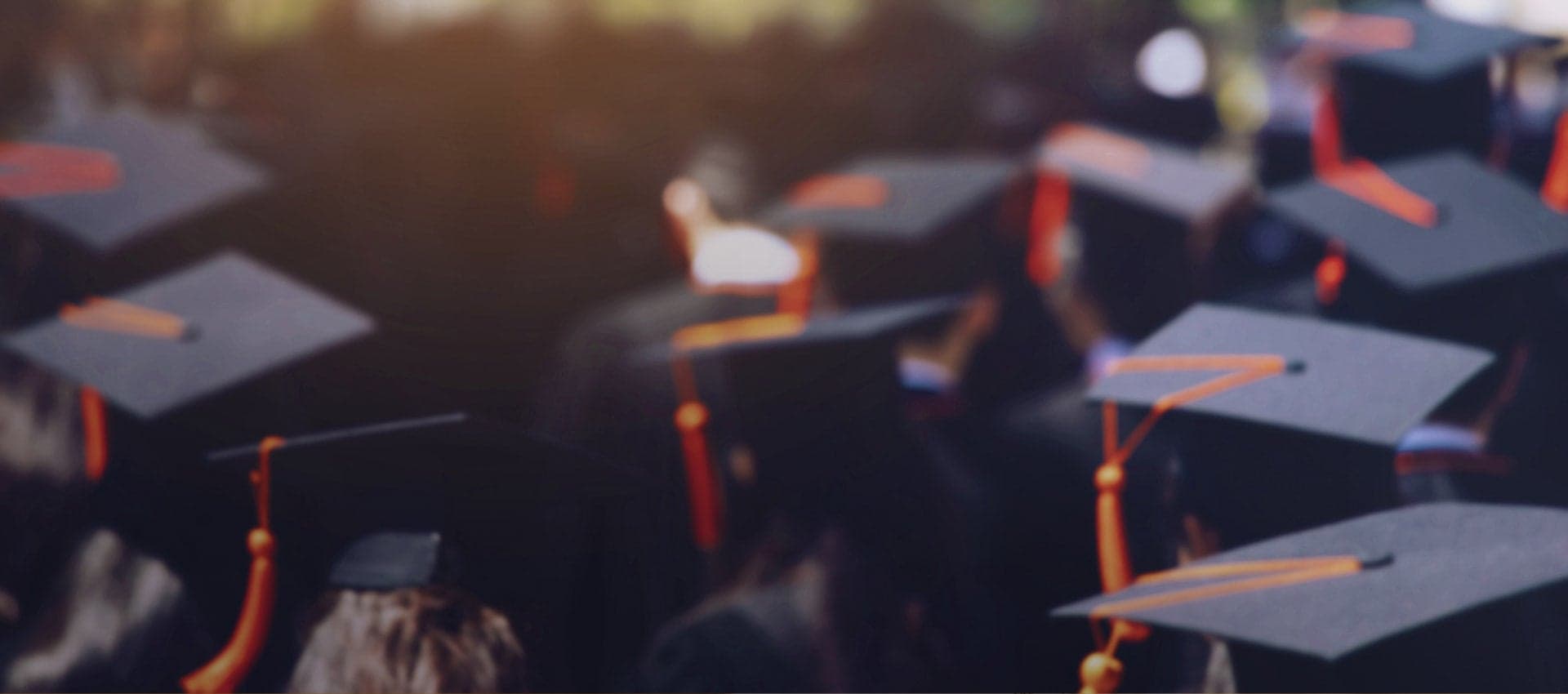 Building a Self-learning Corporate Culture